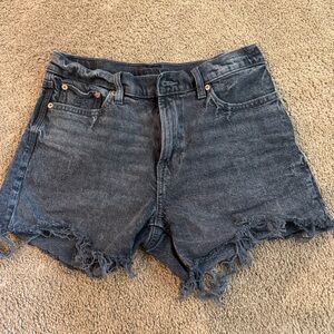 American Eagle Outfitters Dark Wash Jean Shorts